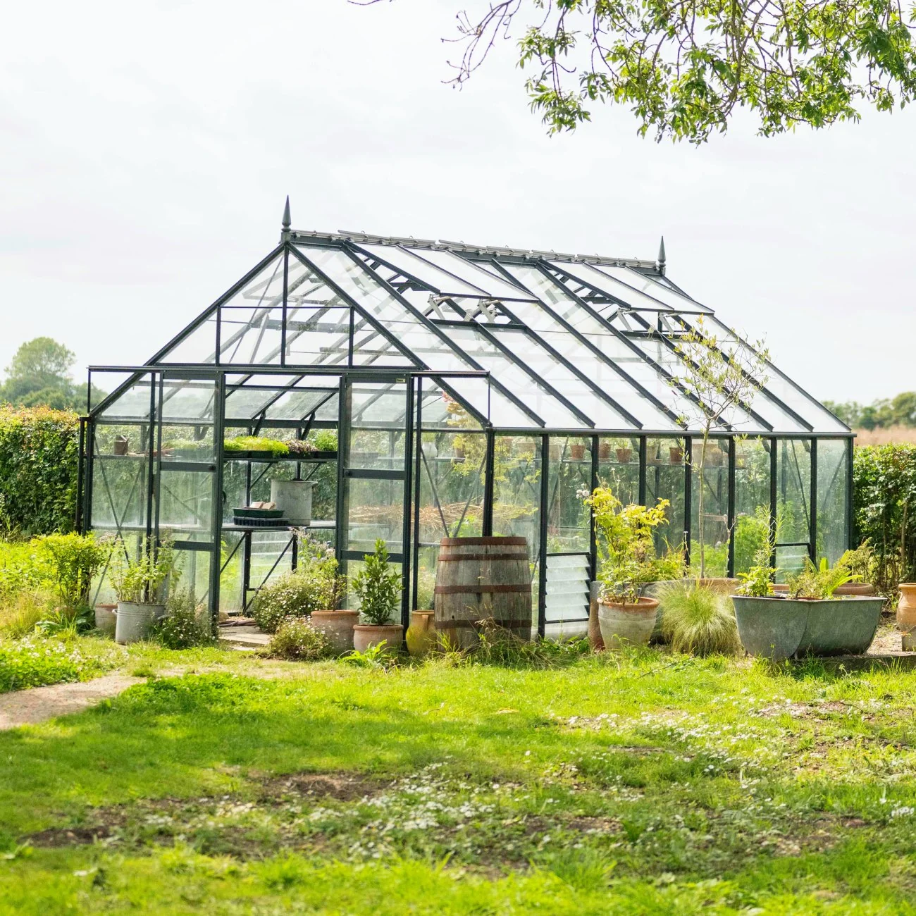 Greenhouses